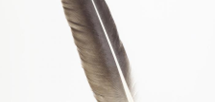 Giriş